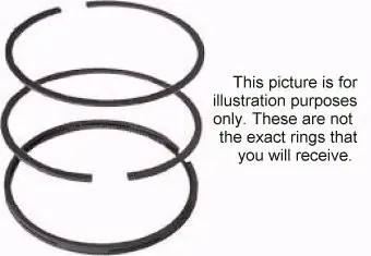 Place Order BS-393277 - 393277 RING SET-STD fits some 401400, 401700, 402700, 421400, 421700 Briggs & Stratton Engine Parts (BS-393277)