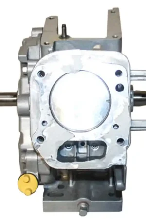 Hot Picks 791518 - Shortblock for Intek Briggs & Stratton Shortblock (791518)