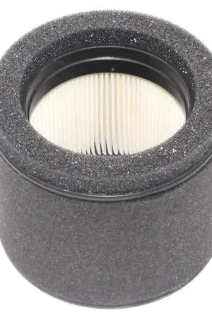 Time-Limited KA-110290019 - ELEMENT-ASSY-AIR FILT (KA-110290019)