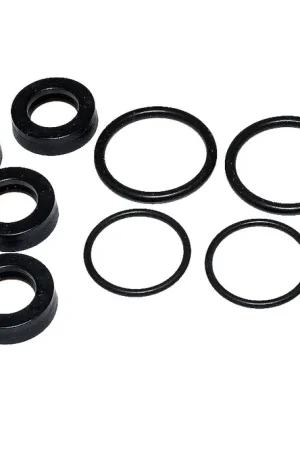 AR-15579 - kit guarnizioni pompanti bravo AR (Annovi Reverberi) North America Pump (AR-15579) Instant Buy