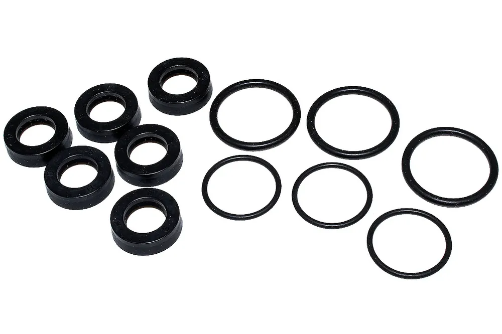 AR-15579 - kit guarnizioni pompanti bravo AR (Annovi Reverberi) North America Pump (AR-15579) Instant Buy