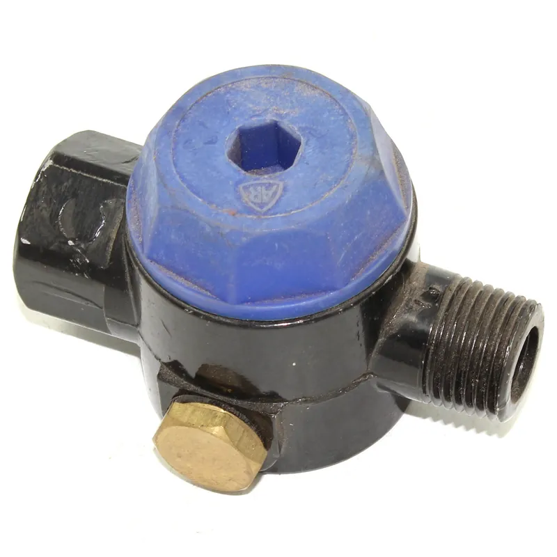 AR-3000A2G - 3000A2G AR LINE STRAINER 3000-A2G for Annovi Reverberi 1/2" MPT Outlet, 1/4" Side Ports (AR-3000A2G) Professional Grade