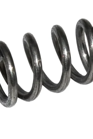 Deal WLB-982177 - 98-217-7 Spring - idle screw, Walbro (WLB-982177)