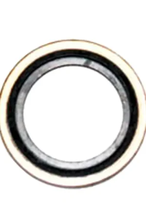 GEN-162B1843GS - 162B1843GS SEAL-WASHER Generac Portables Pressure Washer Parts (GEN-162B1843GS) Mega Sale