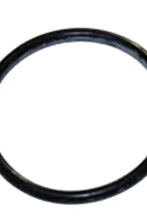 GEN-162A1655GS - 162A1655GS O-Ring Generac Portables Pressure Washer Parts (GEN-162A1655GS) Latest