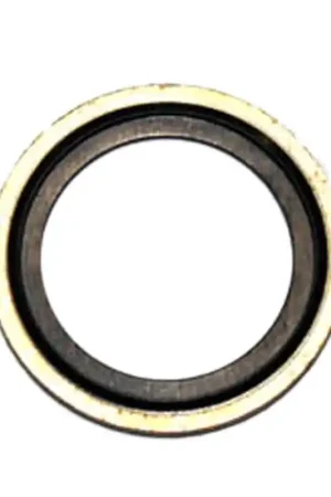 GEN-156B1843GS - 156B1843GS SEAL-WASHER Generac Portables Pressure Washer Parts (GEN-156B1843GS) Hot Picks