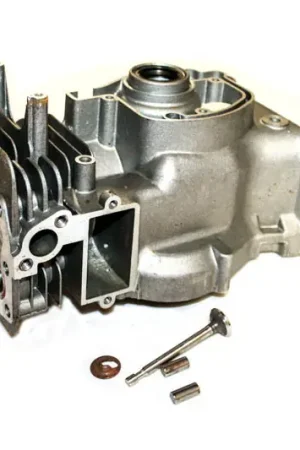 Authentic TE-36169 - TECUMSEH CYLINDER 36169 Tecumseh Engine Parts, Tecumseh (TE-36169)