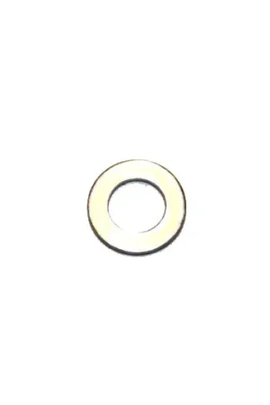 Authentic EC-90060000005 - ECHO WASHER 5 MM 90060000005 Echo, Echo (EC-90060000005)