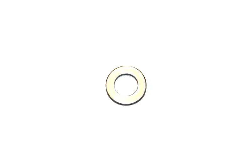 Authentic EC-90060000005 - ECHO WASHER 5 MM 90060000005 Echo, Echo (EC-90060000005)