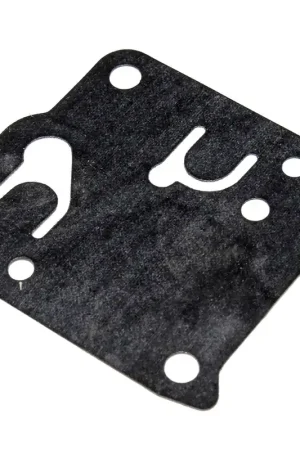 Final Sale TIL-237144 - TIL-237-144 Tillotson pump diaphragm (TIL-237144)