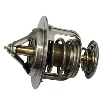 Thermostat Same Day Shipping