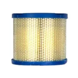 Vanguard 16/23Hp Fuel Filter Hassle-Free Returns