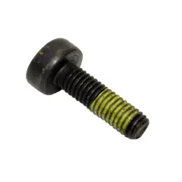 Limited Offer ZBolt, Torx 4x8