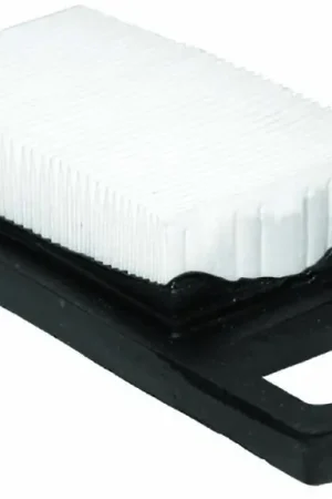 Briggs & Stratton Air Filter Sale