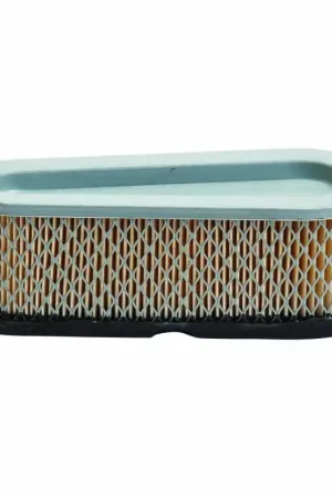 Briggs And Stratton Air Filter Final Sale